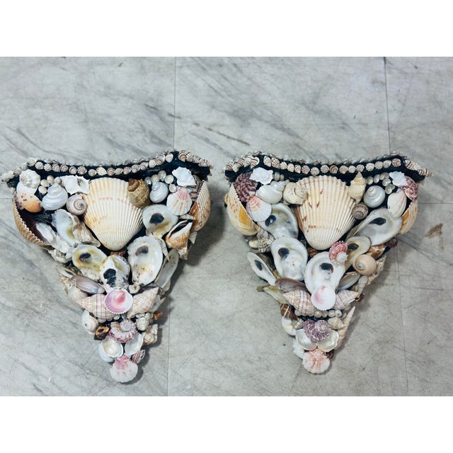 Vintage Shell Brackets, a Pair For Sale - Image 10 of 12