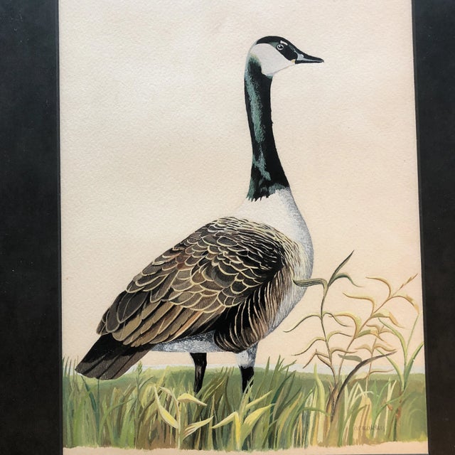 2original 1970’sbWatercolor painting on heavy paper Signed lower right 1 is 8.5 x 10 the other 9.5 x 13 Overall size with...