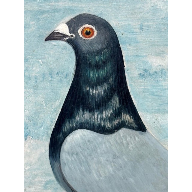Circa 1930 British Folk Art Champion Racing Pigeons Oil Painting For Sale - Image 13 of 18