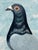 Circa 1930 British Folk Art Champion Racing Pigeons Oil Painting For Sale - Image 13 of 18