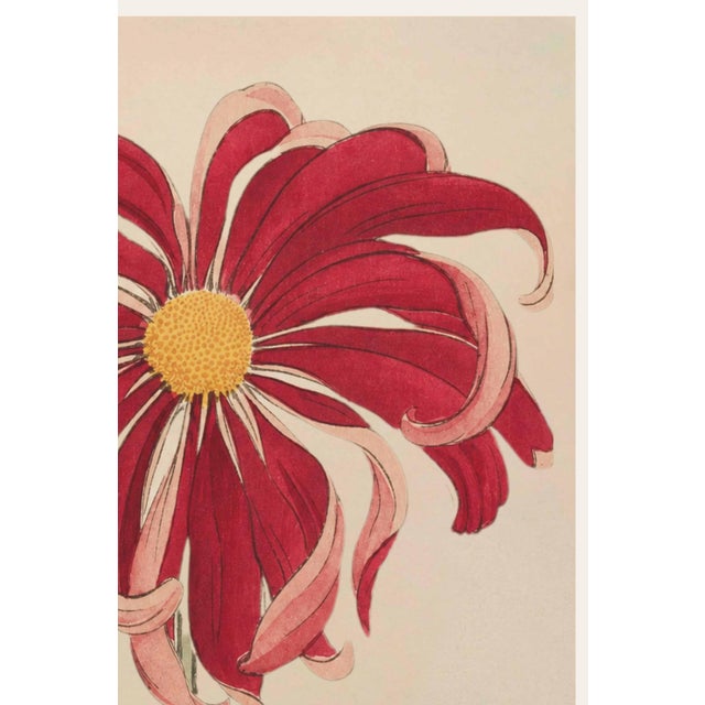 Japanese Asian Floral Giclee, Vintage Japanese Red Botanical Art Print, 12" X 18" For Sale - Image 3 of 8