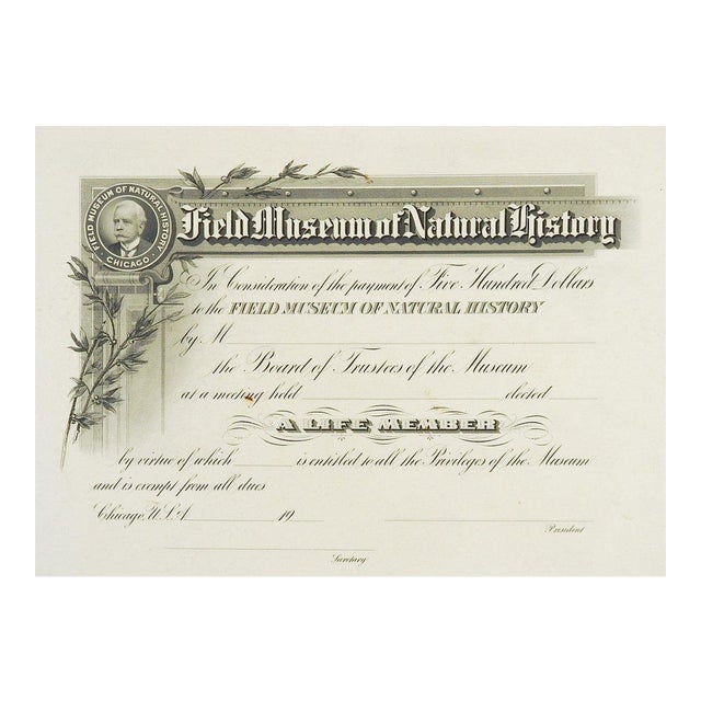 Field Museum of Natural History Antique Membership Certificate Chairish