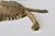 S. Lascoux Brass Finish Large Fish Wall Sculpture Mid-Century Vintage For Sale - Image 9 of 15