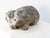 Reconstituted Stone Badger Garden Ornament, England 1960s For Sale - Image 10 of 11