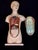 Antique Medical Human Anatomy Dissected Teaching Female German Model Hand Painted For Sale - Image 11 of 18