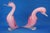 Glass Large 20th Century Ducks in Pink Sommerso Glass by Archimede Seguso, Murano, Italy, Set of 2 For Sale - Image 7 of 18