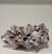 Large Natural Barnacle Cluster Specimen For Sale - Image 4 of 11