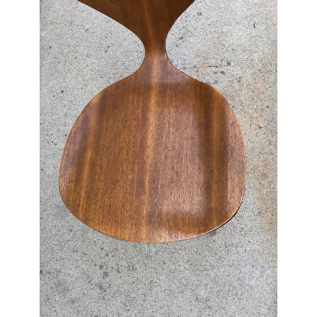 Wood 1950s Mid-Century Modern Bentwood Chair, Attributed to Norman Cherner For Sale - Image 7 of 10