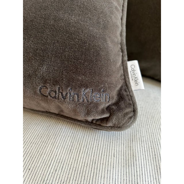 Calvin klein feather pillow best sale
