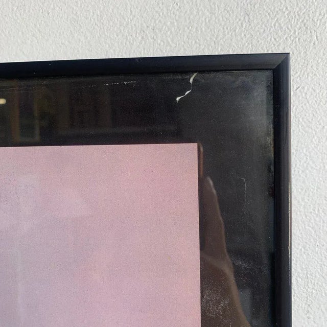 1980s Fred Dorfman Incorporated Antonio Peticov Poster, Framed For Sale - Image 9 of 12