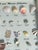 Vintage Sea Shell Collection Marine Specimens For Sale In Miami - Image 6 of 9