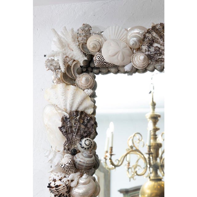 Coastal Custom Organic Shell Mirror For Sale - Image 3 of 8