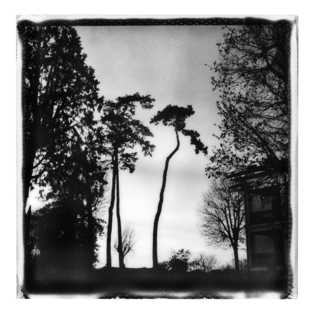 Ugne Pouwell, Sunset, 2024, Photography For Sale