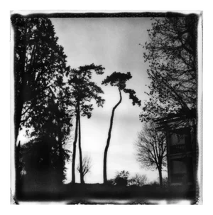 Ugne Pouwell, Sunset, 2024, Photography