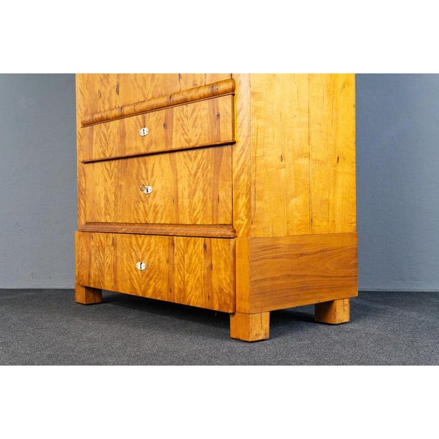 Biedermeier Birch & Elm Secretary For Sale - Image 12 of 18