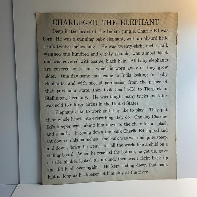 1937 Lion Book Illustration by Diana Thorner For Sale - Image 4 of 5