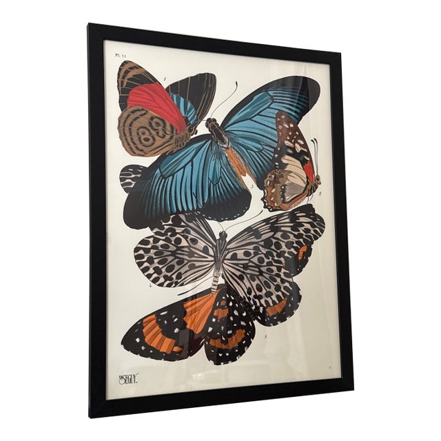 Vintage Insects Giclee Print After Emile-Allain Seguy ~Framed For Sale