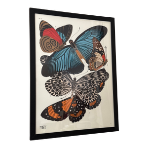 Vintage Insects Giclee Print After Emile-Allain Seguy ~Framed