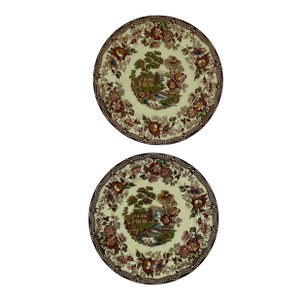 Vintage Royal Staffordshire "Tonquin" Mulitcolor Salad Plates by Clarice Cliff – Pair