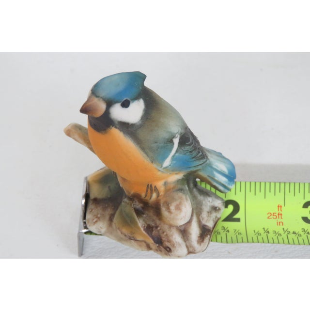 Capodimonte Savastano Eurasian Blue Tit Ceramic Figurine Bird on a Branch 4496b For Sale - Image 10 of 17