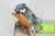 Capodimonte Savastano Eurasian Blue Tit Ceramic Figurine Bird on a Branch 4496b For Sale - Image 10 of 17