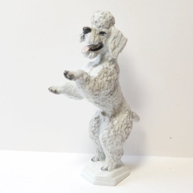 Ceramic Vintage Rosenthal Bavaria Begging Poodle Figurine – Hand-Painted Porcelain Model 5155 – German Art Dog, C. 1950 For Sale - Image 7 of 10