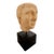 19th Century Italian Grand Tour Marble Bust For Sale