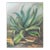 Vintage Mid 20th Century Modernist Agave Painting For Sale