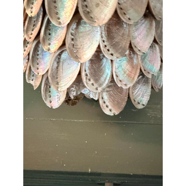 Shell Large Abalone Shell Decorative Tree Sculpture, 17” For Sale - Image 7 of 13