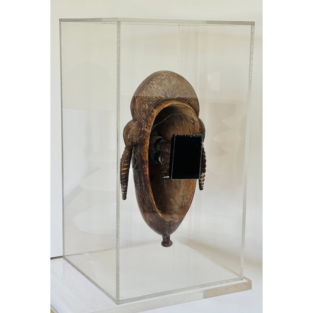 Wood 20th Century Baule Portrait Mask in Lucite Museum Display For Sale - Image 7 of 10