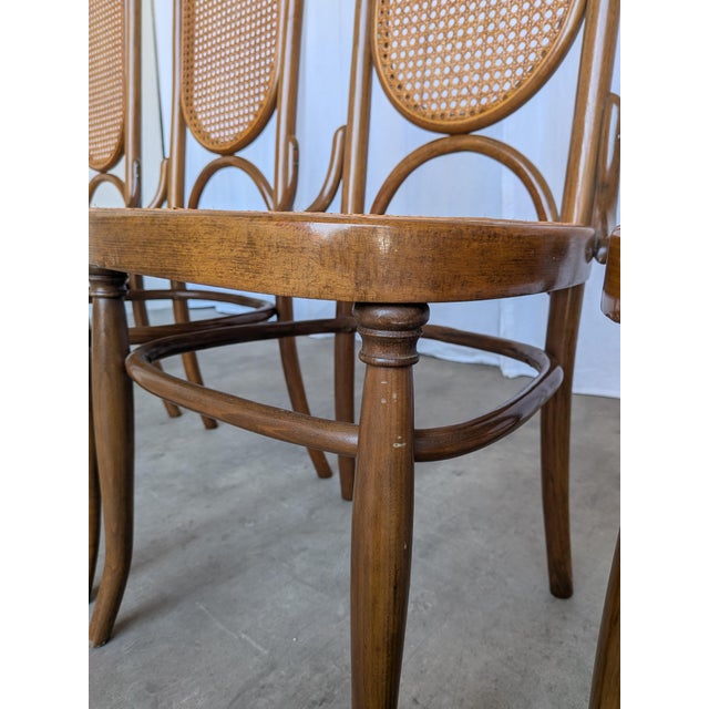 Wood Mid-Century Modern Bentwood Cane Dining Chairs, 1970s, Set of 4 For Sale - Image 7 of 18