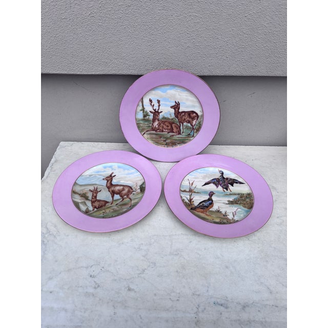 French Country Rare French Porcelain Set of 8 Wild Animals Plates Haviland Limoges Circa 1890 For Sale - Image 3 of 12