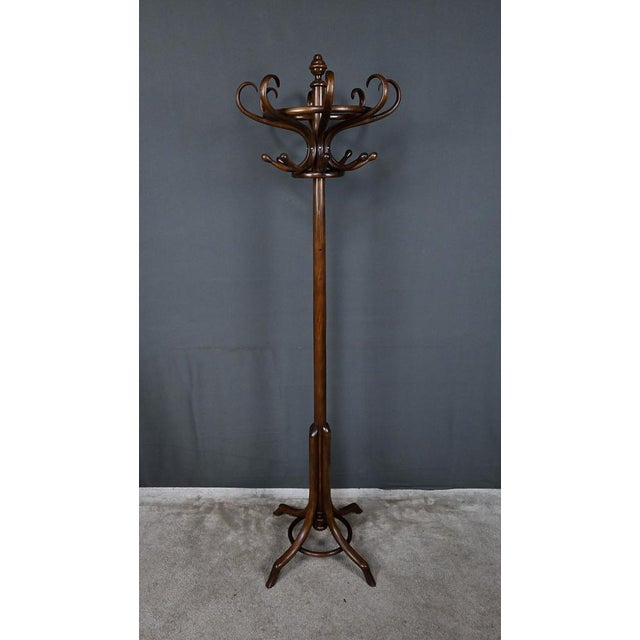 Brown Early 20th Century Parrot Coat Rack in Beechwood, 1890s For Sale - Image 8 of 18