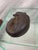 American Antique Resting Fox Iron Doorstop For Sale - Image 3 of 5