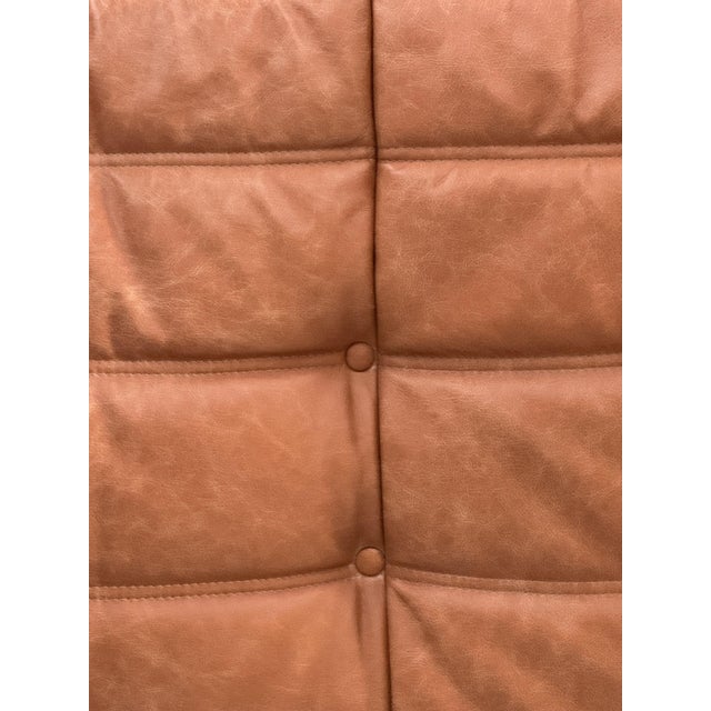 Vintage Togo Lounge Chair in Cognac Leather by Michel Ducaroy for Ligne Roset For Sale - Image 10 of 11