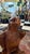 Brown Late 20th Century Hand Carved American Eagle Statue For Sale - Image 8 of 9