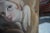19th C Hand Painted Mirror With Angels by Mla For Sale - Image 16 of 18