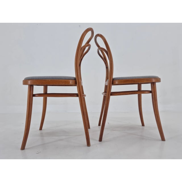 Set of Bentwood Chairs by Antonín Šuman, 1960s For Sale - Image 9 of 12