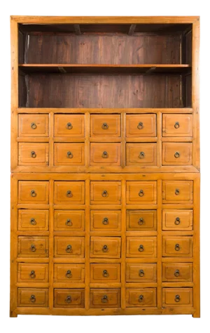 Late 19th Century Nam Wood Apothecary Cabinet with Multiple Drawers