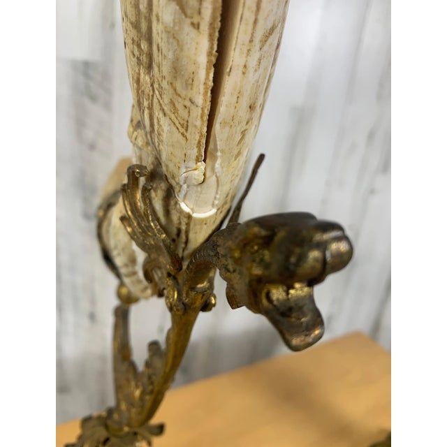 Antique Wild Boar Trophies For Sale - Image 11 of 12