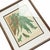 Green 19th-Century European Fern Gallery | Set of 16 Framed Botanical Prints For Sale - Image 8 of 12