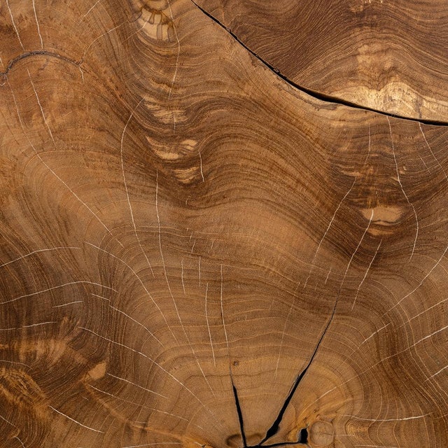 Organic Modern Teak Fragment Round Coffee Table For Sale In Los Angeles - Image 6 of 8