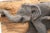 Elephant Family Carved on Wood Plaque With Formica Base For Sale - Image 10 of 11
