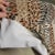 Wood Custom Animal Print Tufted Skirted Ottoman Cocktail Table With Matching Pillow For Sale - Image 7 of 8