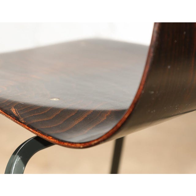 Set of 6 Vintage Bent Plywood Chairs Chairish