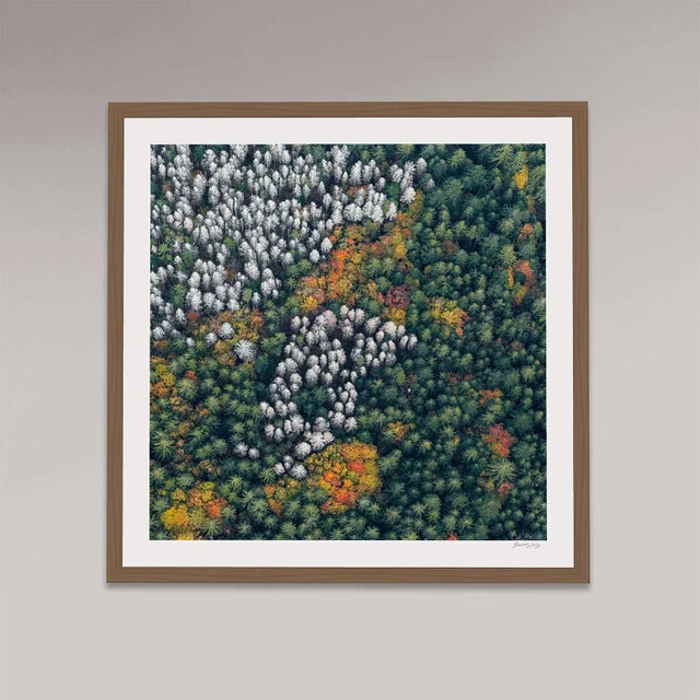 Edition Aerial Views Bernhard Lang Image: "Bavarian_Forest_014" Size C: 35,4 x 35,4 inch / 90 x 90 cm No 1 of 7 + 2 AP,...