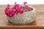 Stone Manor House Hand-Carved Stone Vessel For Sale - Image 7 of 7