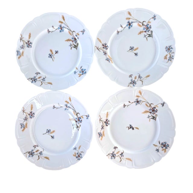 Haviland & Co. is known to be the epitome of timeless elegance and refined craftsmanship - this Schleiger 73-1 salad...