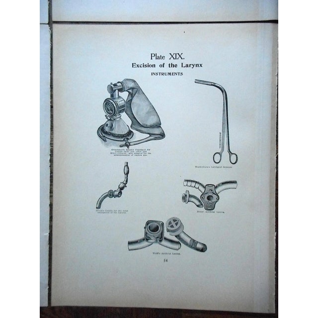 1900 - 1909 Authentic Antique Lithographs-Surgical Tools-1906-Set of 4 For Sale - Image 5 of 7