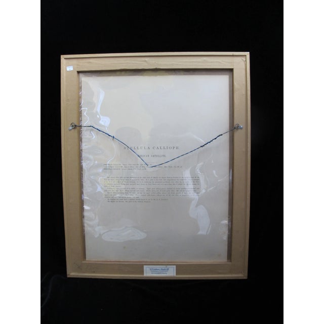 Green Daniel Giraud Elliot Hand Tinted C1869 Calliope Hummingbird Framed Lithograph For Sale - Image 8 of 8